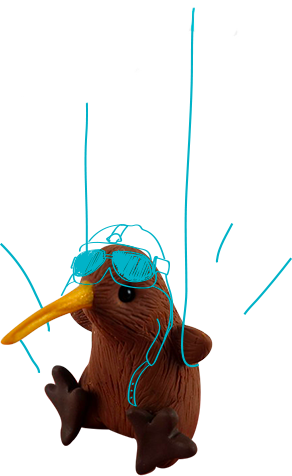KIWI3 FLYourBIZ